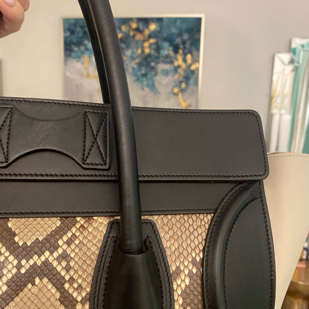 Celine Python 🐍 Handbag - Picture 7 of 13